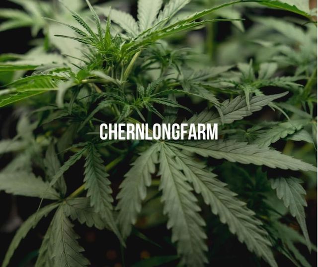 CHÉNLÓNG CANNABIS FARM storefront