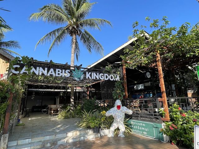 Cannabis Kingdom storefront