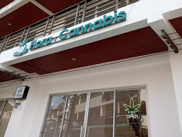 Flora Cannabis Samui storefront