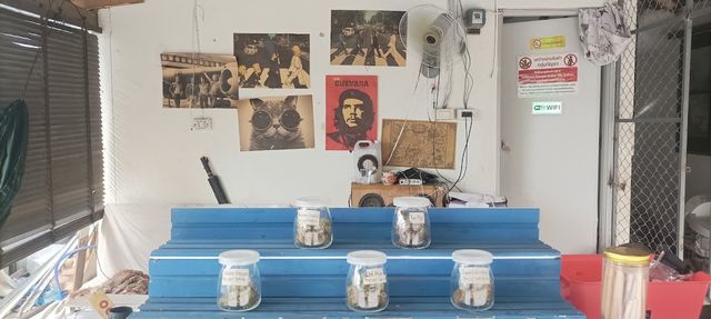 Pao & Sky cannabis shop storefront