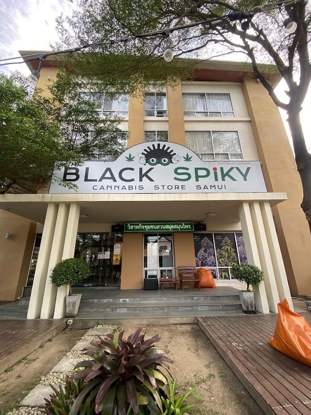Black Spiky Weed Shop storefront