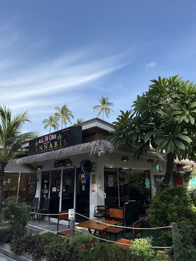 ALL IN ONE : CANNABIS @ARKbar Samui storefront