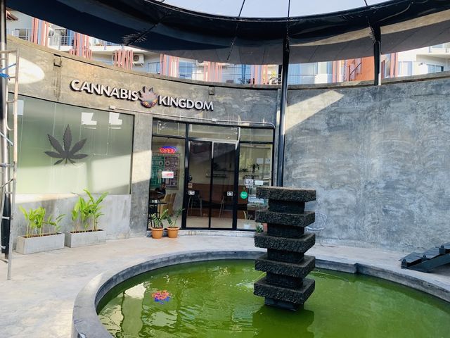 Cannabis Kingdom Replay storefront