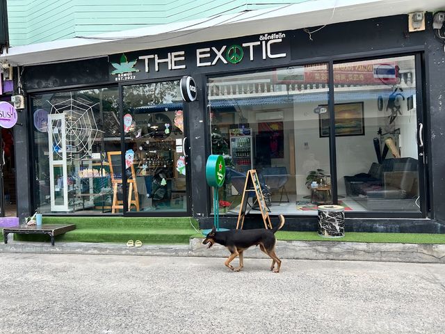 The Exotic Cannabis storefront