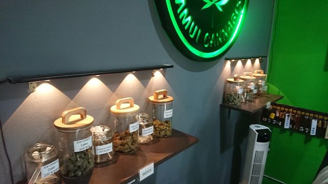 Lamai weed store Samui cannabis storefront