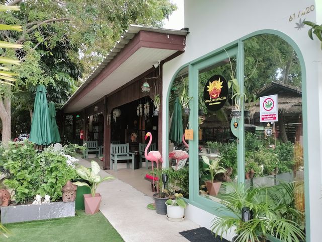 Samui Cannabis Club storefront