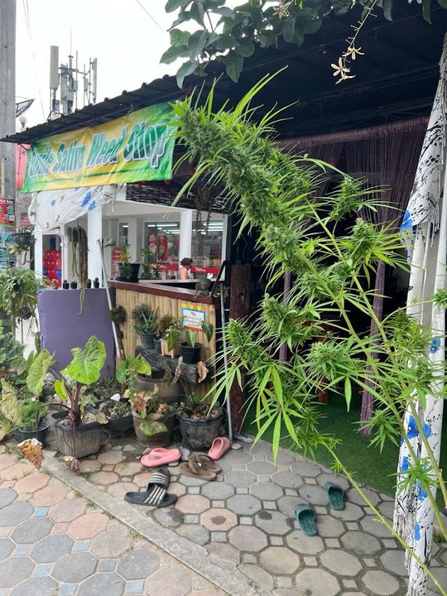 Smile sativa weed cannabis bar storefront
