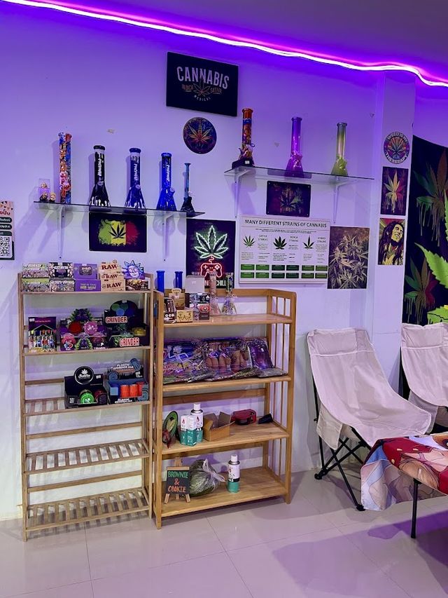 WAVE CANNABIS SHOP storefront