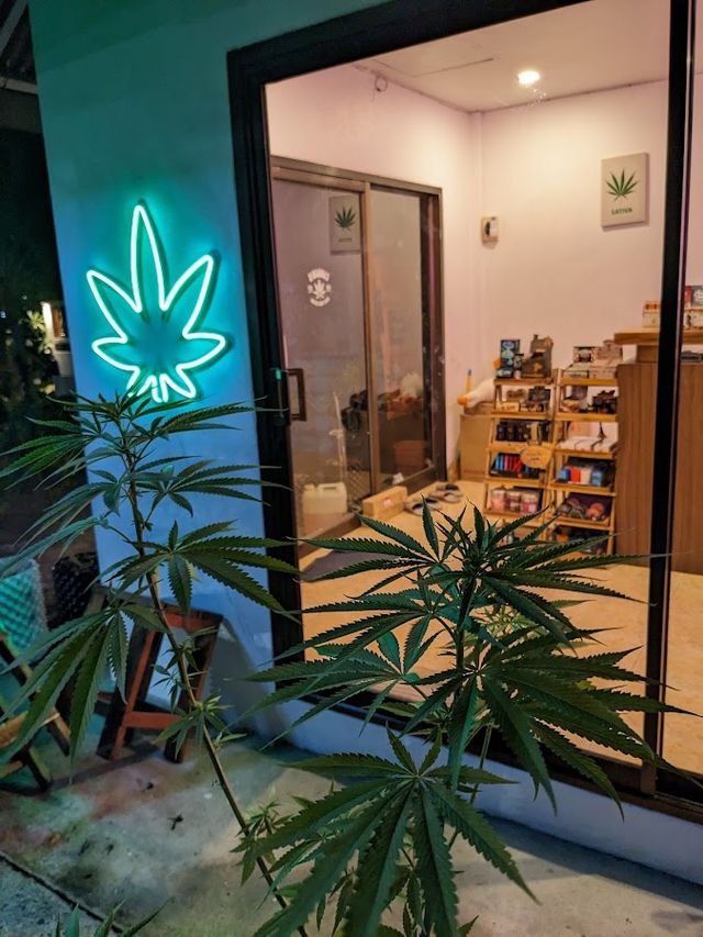 High Sweed storefront