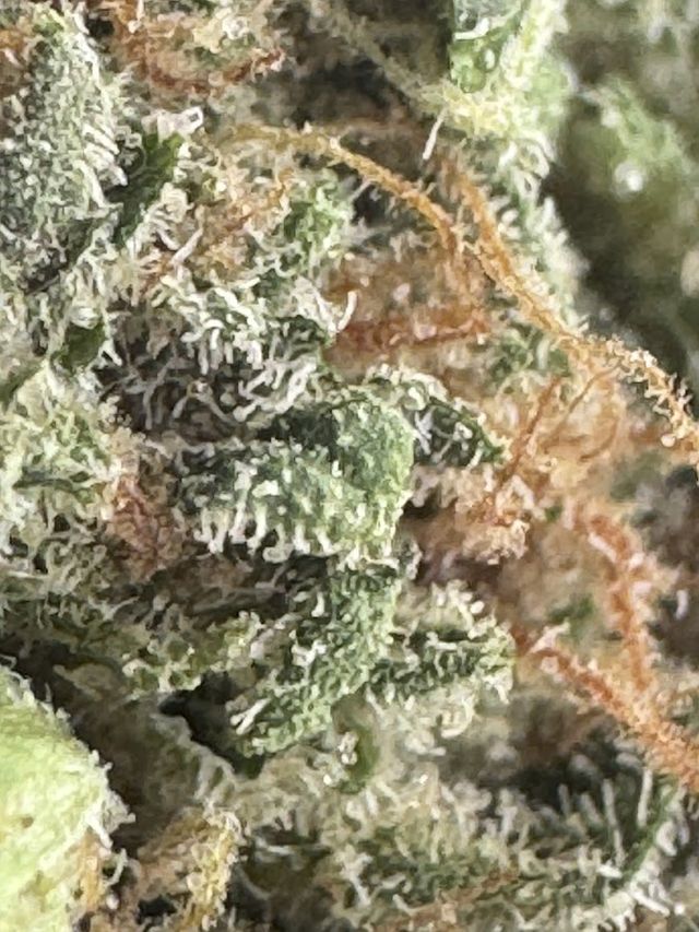 Khun Chok Dee Cannabis Shop storefront