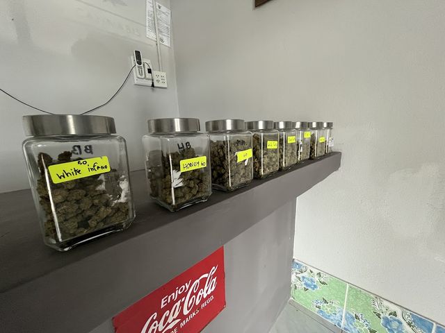 OPTIONS.SAWI.420 storefront