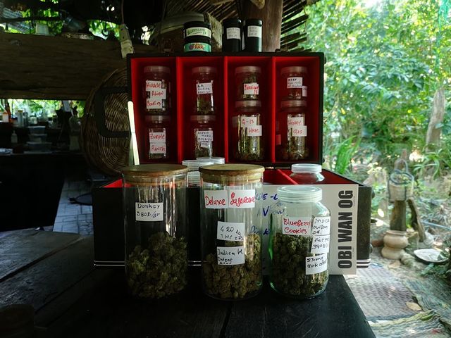 Sathanee Green weed shop storefront