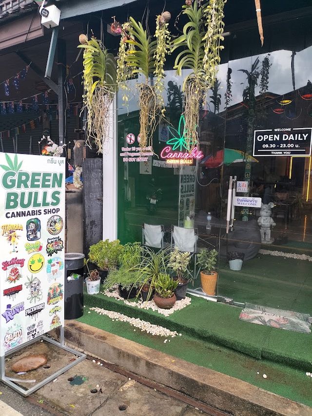 Green Bulls Cannabis Shop storefront