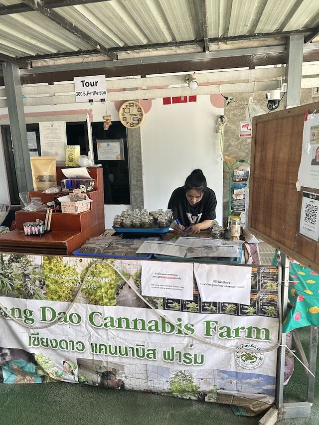 Chiang Dao Cannabis Farm storefront