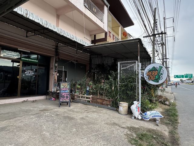 ร้านกัญชา Herb OG storefront