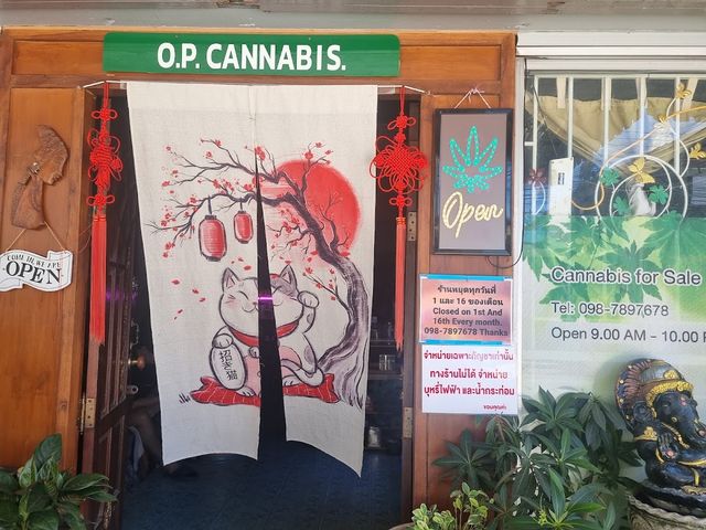 O.p Cannabis storefront