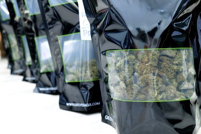 Samnesia Cannabis farm storefront