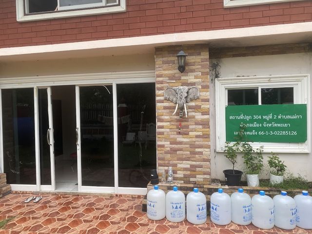 ร้านกัญชาอีสเนอุซ หน้าม.พะเยา Isnatious Cannabis storefront