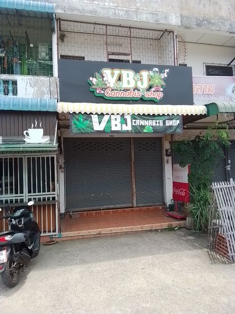 กัญชาเมืองแพร่ cannabis shop storefront