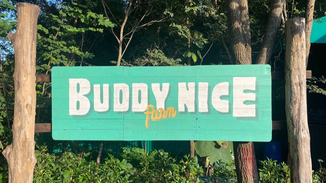 Buddynice Cannabis กัญชา Chiang Mai storefront