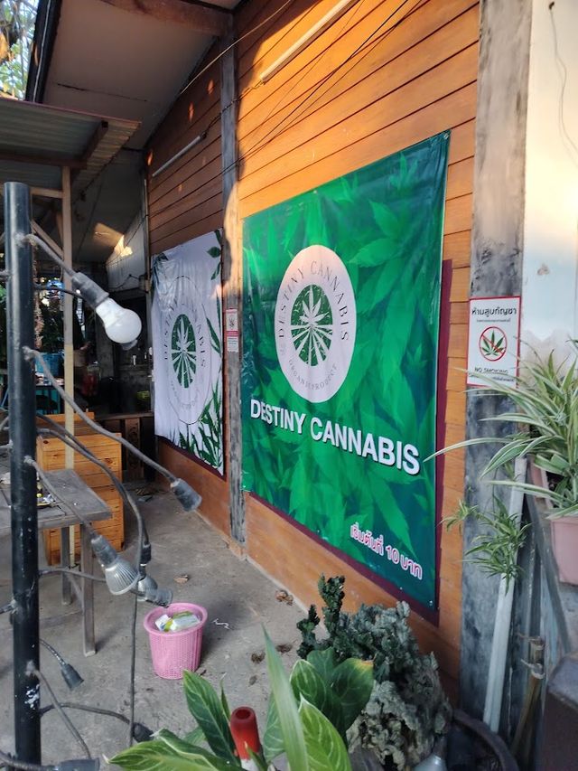 กัญชาใกล้ฉัน ลำพูน Destiny Cannabis storefront