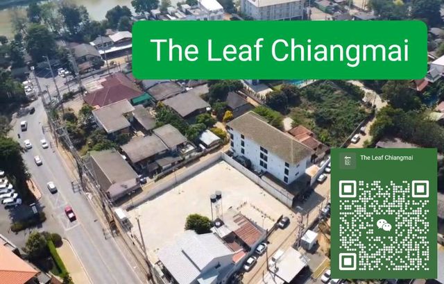 The Leaf Chiangmai storefront