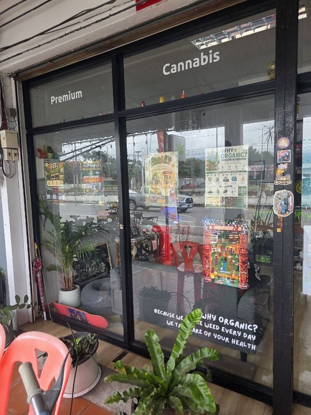 Feel Good 420 – Cannabis Dispensary ร้านกัญชาสี่แยกพืชสวนโลก storefront
