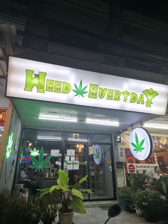 Weed Every day Cannabis shop cnx 大麻 marijuana storefront