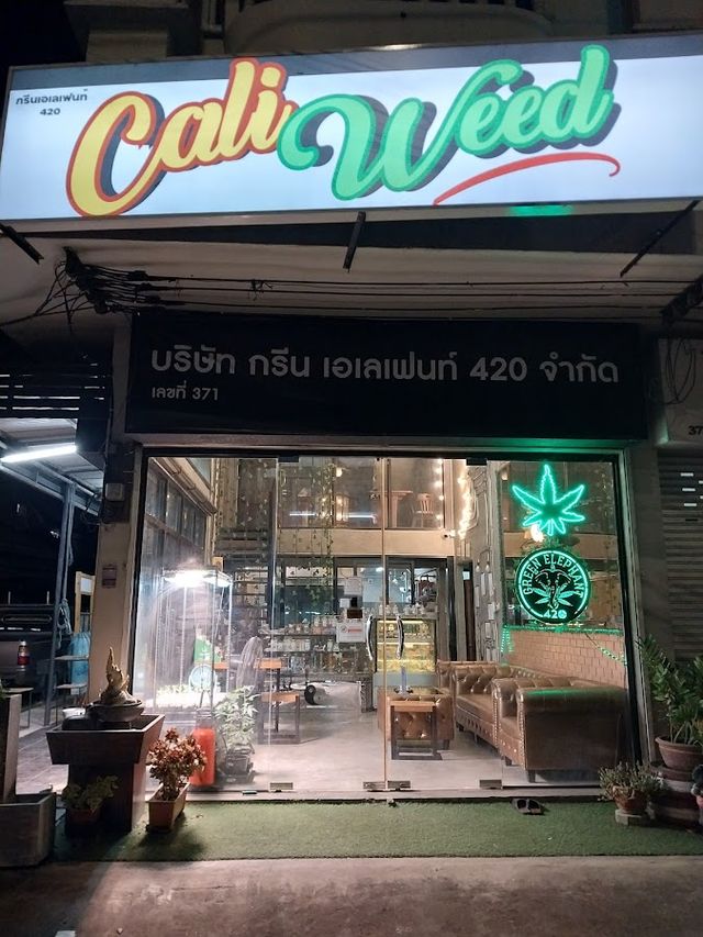 Cannabis Shop (Green Elephant 420) storefront