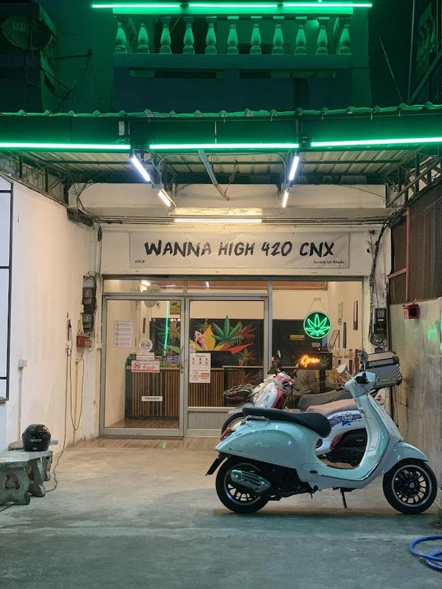 Wanna High Weed Shop - ร้านกัญชา Cannabis Store storefront