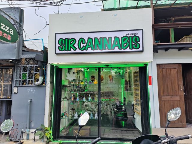 SIR CANNABIS เซอร์แคนนาบิส สาขาประตูท่าแพ storefront
