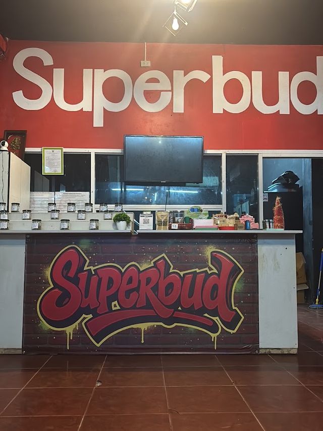 Weed shop Superbud-Dispensary 雜草商店 Marijuana конопля storefront