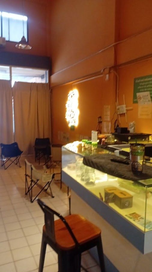 Goatdafi cannabis storefront