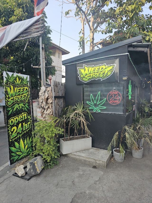 Weed Street3D2Y - Weed shop 24Hrs ร้านกัญชา24ชม Chiang Mai storefront