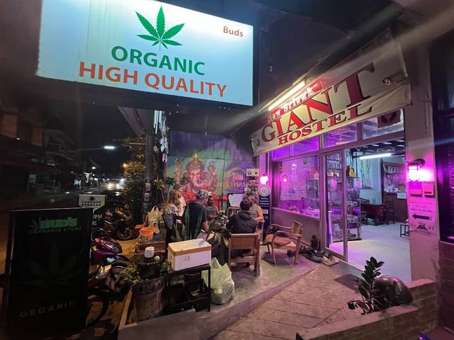 Giant Cannabis Shop storefront