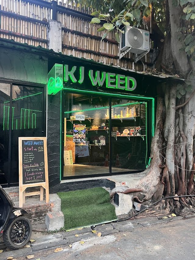 BEST WEED SHOP in Chiang mai - Matez weed shop#2 大麻 กัญชา storefront