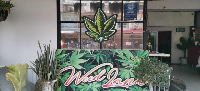 Weed Land ร้านกัญชา เชียงใหม่ storefront