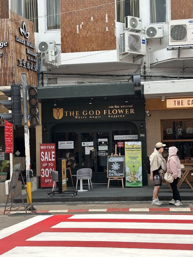 The God Flower Premium Branch2 Cannabis Dispensary Tha Phae Gate Chiang Mai storefront