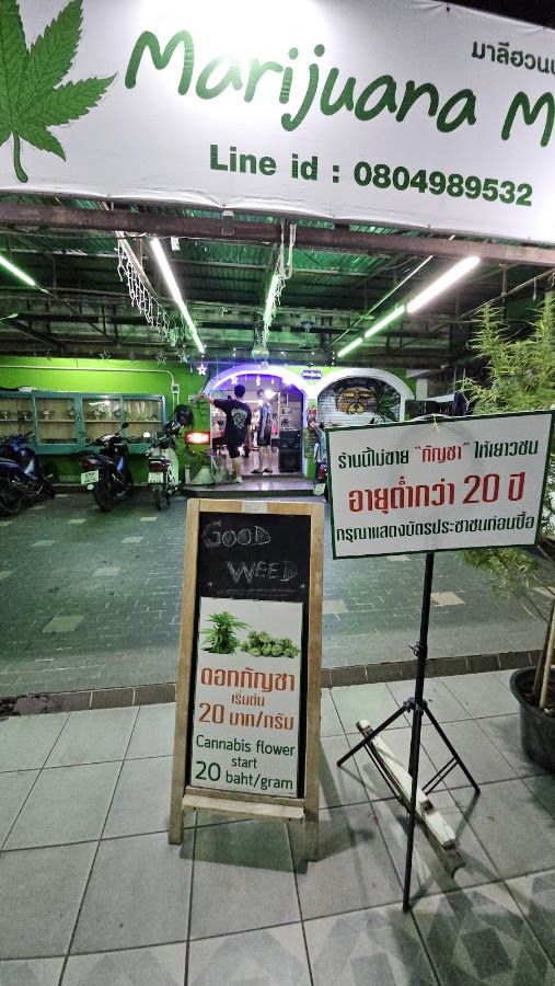Marijuana MO (ร้านกัญชามาลีฮวนน่า โม) storefront in Chiang Mai