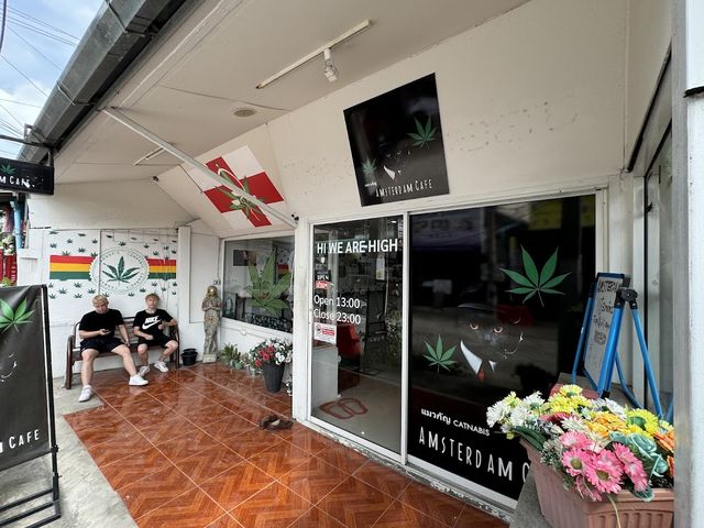 Weed Amsterdam Cafe Catnabis storefront