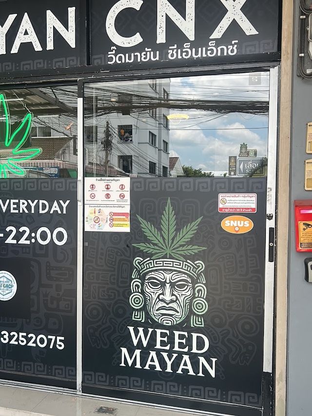Weed Mayan CNX | Cannabis Dispensary, Weed Shop, Snus & Nicotine Pouches Chiang Mai storefront