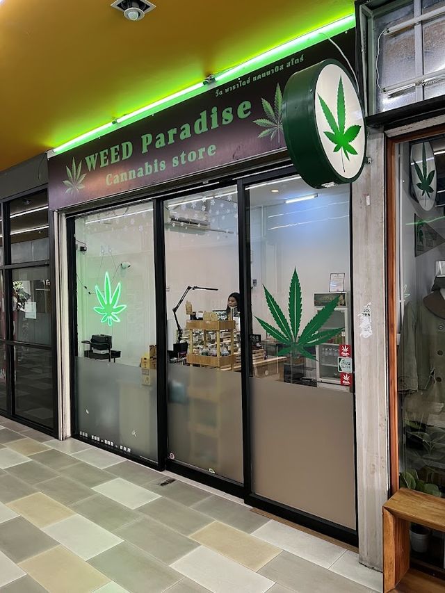 Weed Paradise Cannabis Store Dispensary shop 大麻 Marijuana Edible storefront