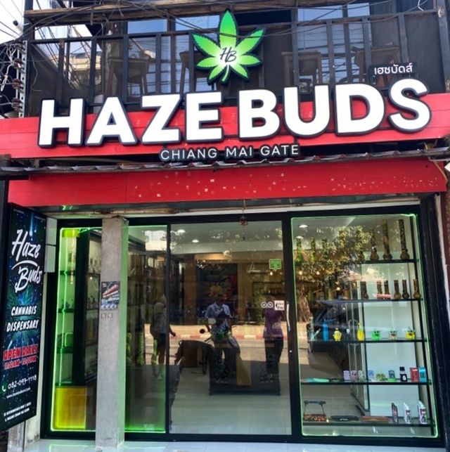 Haze Buds Cannabis Dispensary - Chiang Mai Gate Weed Store storefront