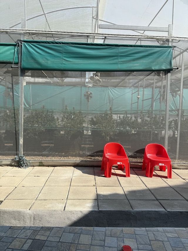 NGK Cannabis Farm And Tour storefront