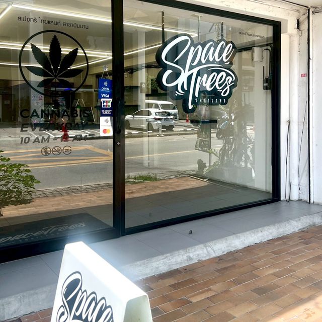 Space Trees: Cannabis Dispensary Chiang Mai storefront
