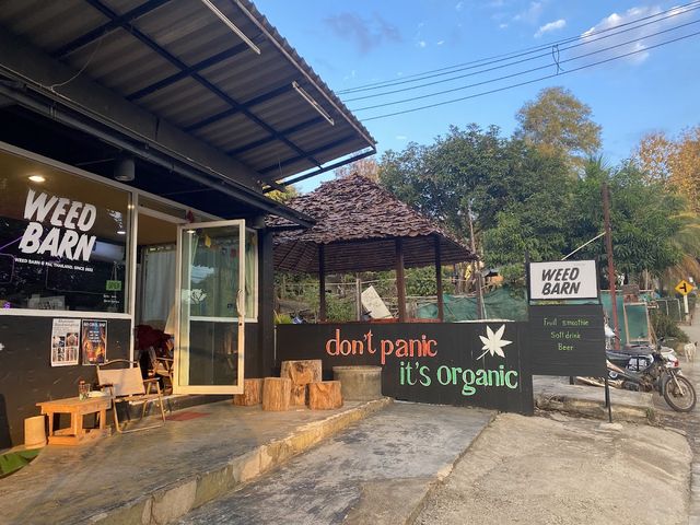 WEED BARN storefront