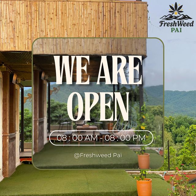 Fresh Weed Pai Cafe & Viewpoint (Cannabis & Coffee Shop) storefront