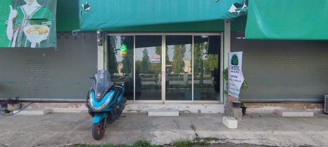 ร้าน Exotic weed storefront