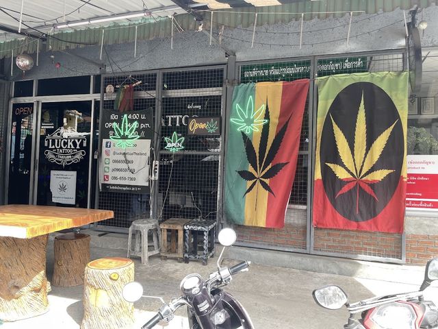 ร้านกัญชา ดอกไม้ดอย 420 Cannabis storefront