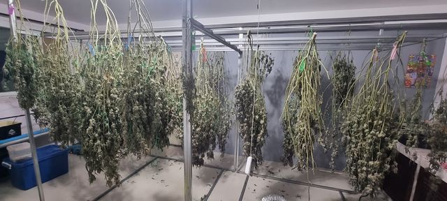 Art Cannabis storefront